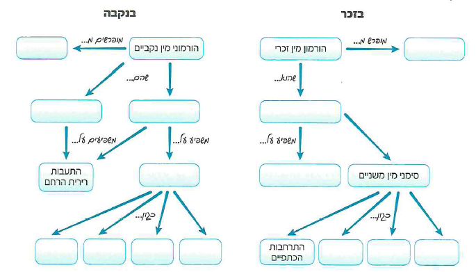 (בספר איור)